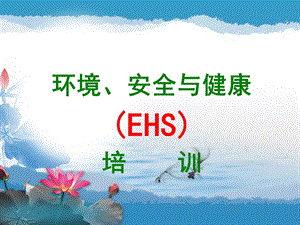 EHS讲座(培训)课件.ppt