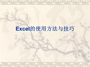 Excel的使用方法与技巧课件.ppt