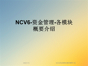 NCV6资金管理各模块概要介绍课件.ppt