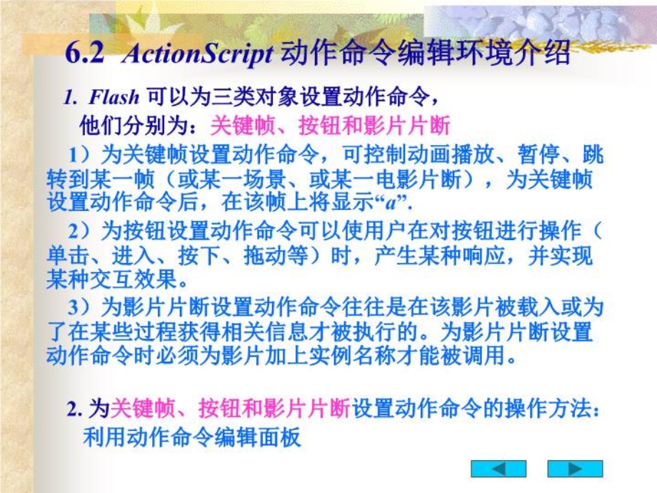 flash中脚本语言与交互动画制作技巧课件.ppt_第3页