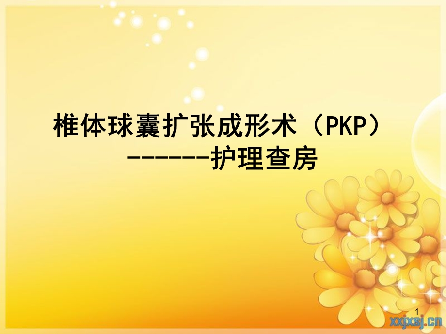 PKP护理查房医学课件.ppt_第1页