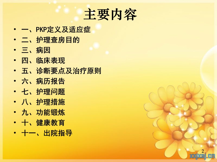 PKP护理查房医学课件.ppt_第2页