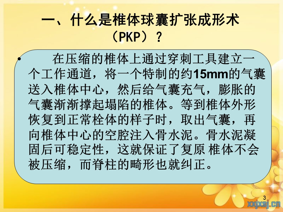 PKP护理查房医学课件.ppt_第3页