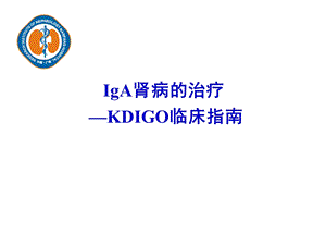 KDIGO临床指南-IgA肾病的治疗课件.ppt