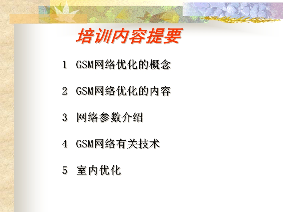 GSM优化基础知识培训-课件.ppt_第2页