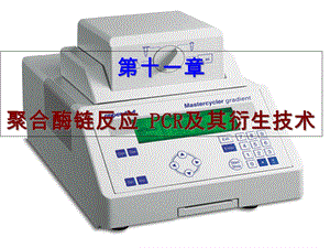 PCR及其衍生技术解析课件.ppt