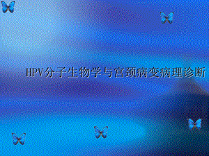 HPV分子生物学与宫颈病变病理诊断-课件.ppt