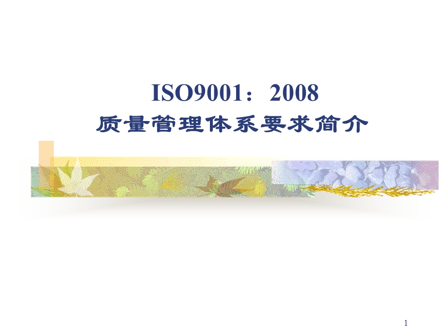 ISO9001标准讲解解析课件.ppt_第1页