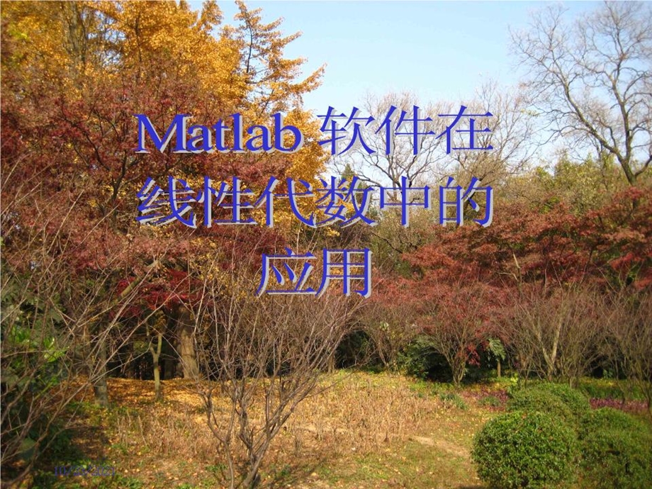 Matlab在线性代数中的应用课件.ppt_第1页