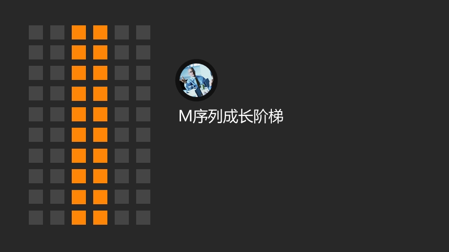 M序列人才发展计划解析课件.ppt_第3页