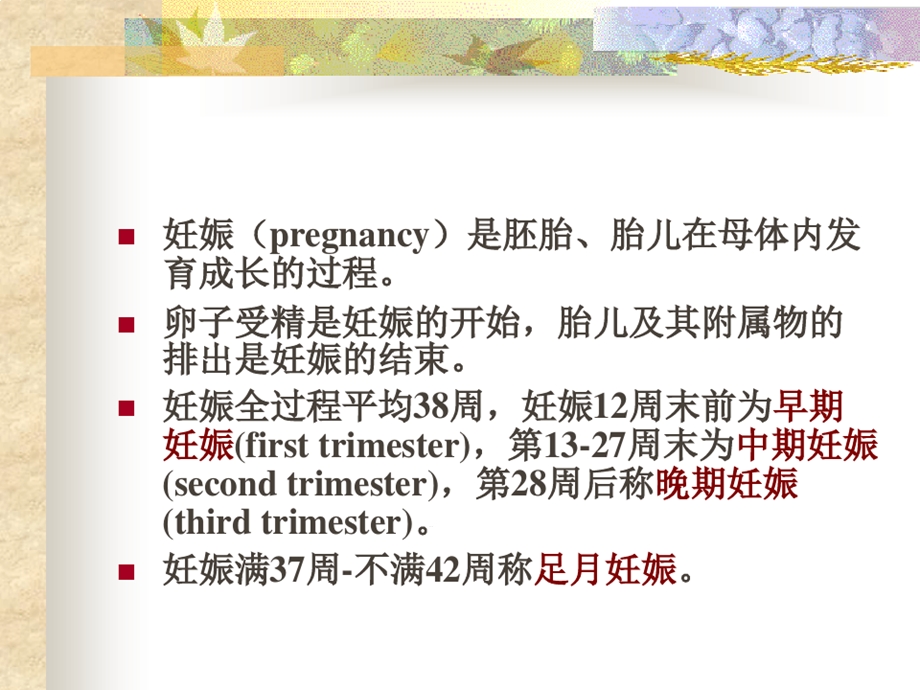 pregnantphysiology妊娠生理妇产科学课件.ppt_第2页