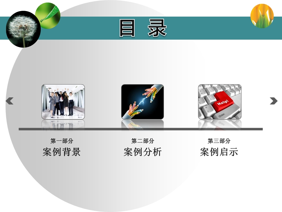 MBA管理课程案例分析报告课件.ppt_第2页