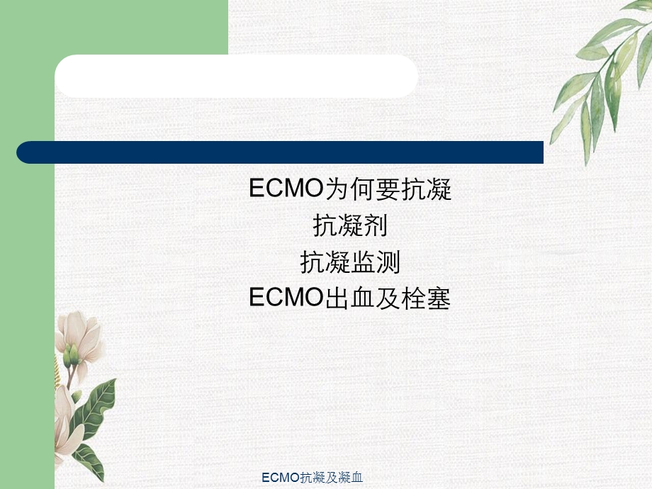 ECMO抗凝及凝血课件.ppt_第2页