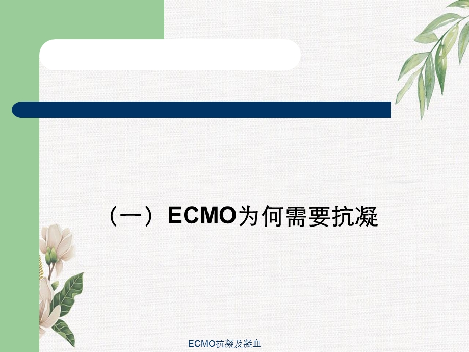 ECMO抗凝及凝血课件.ppt_第3页