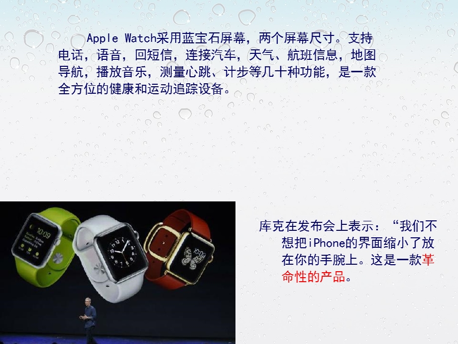 iwatch营销计划书课件.ppt_第3页