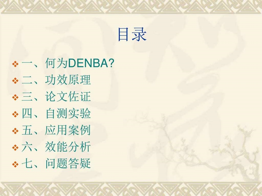 DENBA-产品说明书课件.ppt_第2页