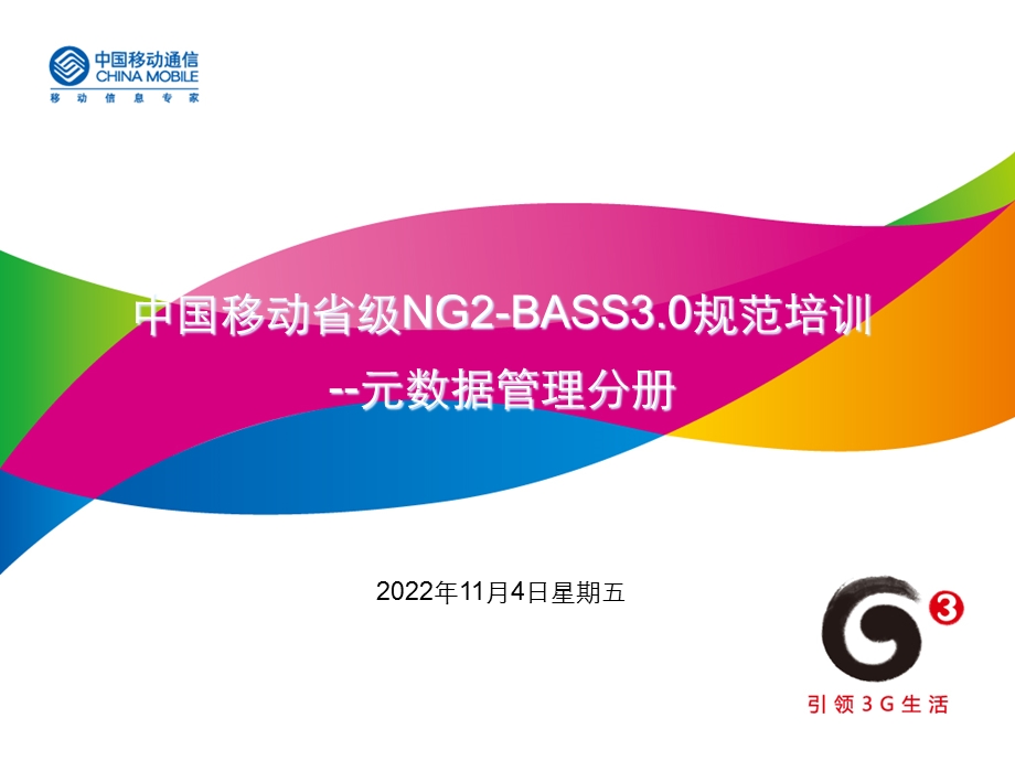 NG2-BASS30规范培训-技术规范-元数据管理分册课件.ppt_第1页