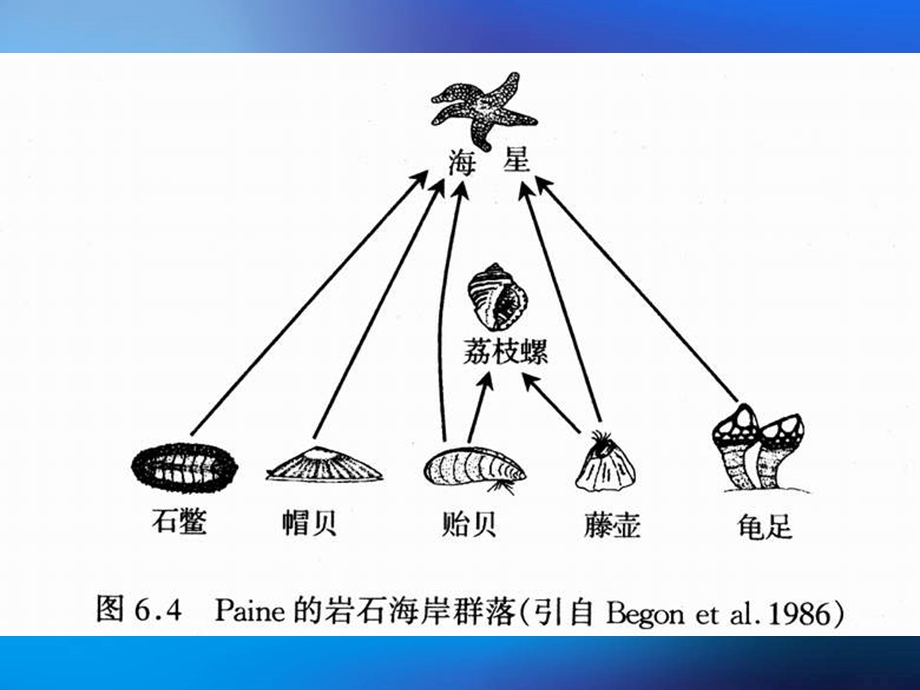 Q1群落、结构和稳定性课件.ppt_第2页