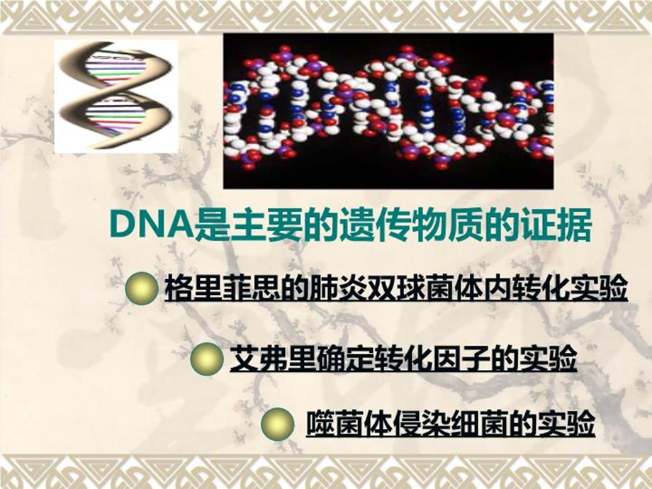 DNA是主要的遗传物质(2课时)课件.ppt_第2页