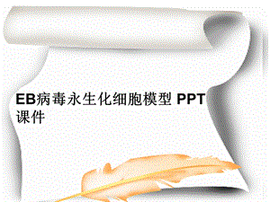 EB病毒永生化细胞模型-课件.ppt