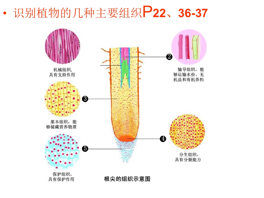 七下8 9 章复习ppt课件.ppt_第3页