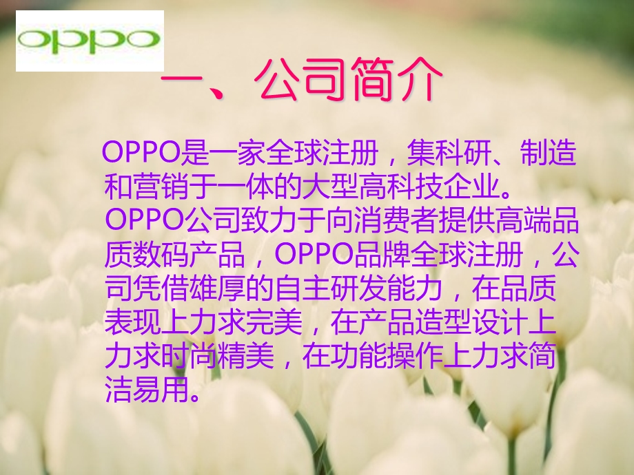 OPPO品牌营销分析课件.ppt_第3页