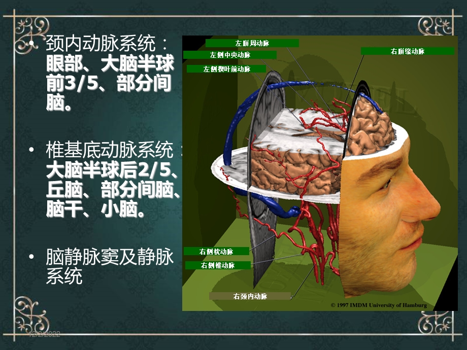 缺血性脑血管病课件.ppt_第3页