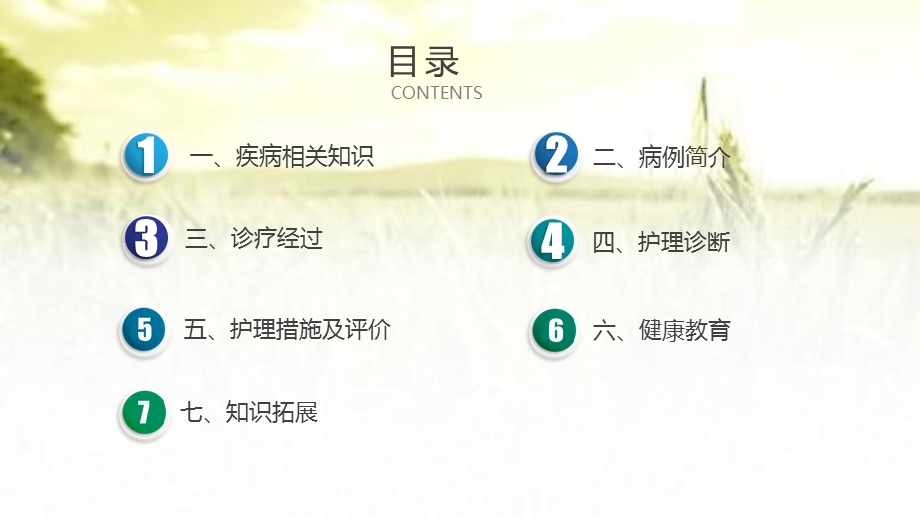 ECMO救治重症心肌炎患者的护理查房课件.ppt_第2页