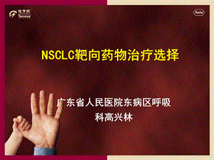 NSCLC靶向药物治疗选择课件.ppt