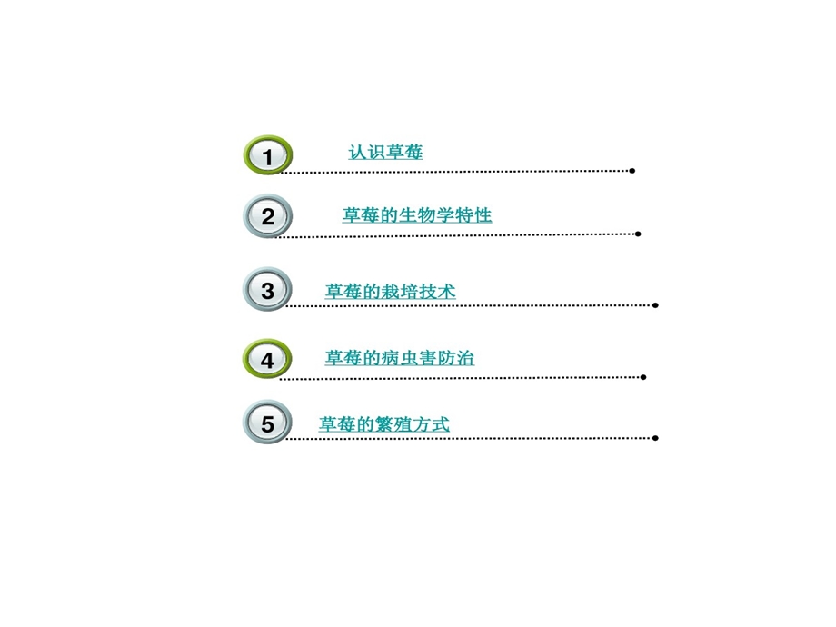 草莓栽培及病虫害防治技术课件.ppt_第2页