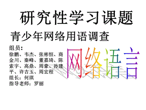 网络语言的组成课件.ppt