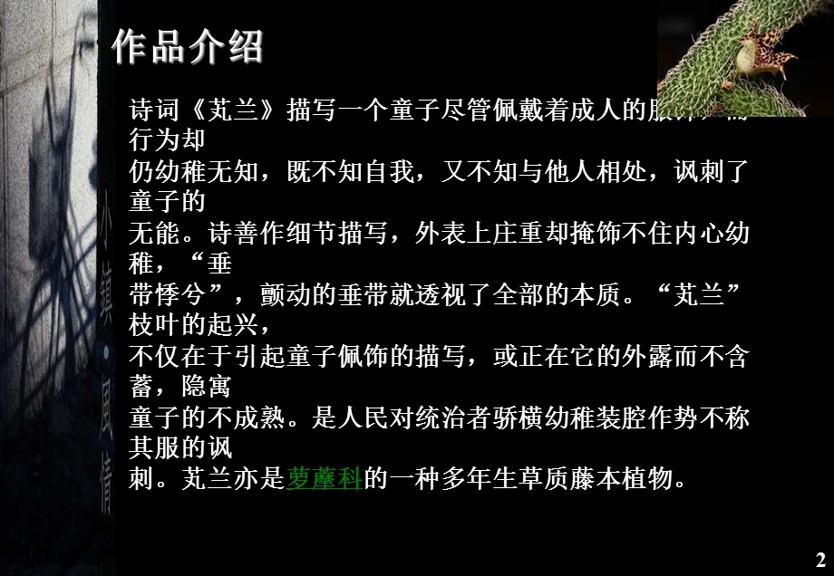 能不我知容兮遂兮垂带悸兮诗经芄兰课件.ppt_第2页