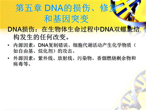 DNA 损伤与修复解读课件.ppt