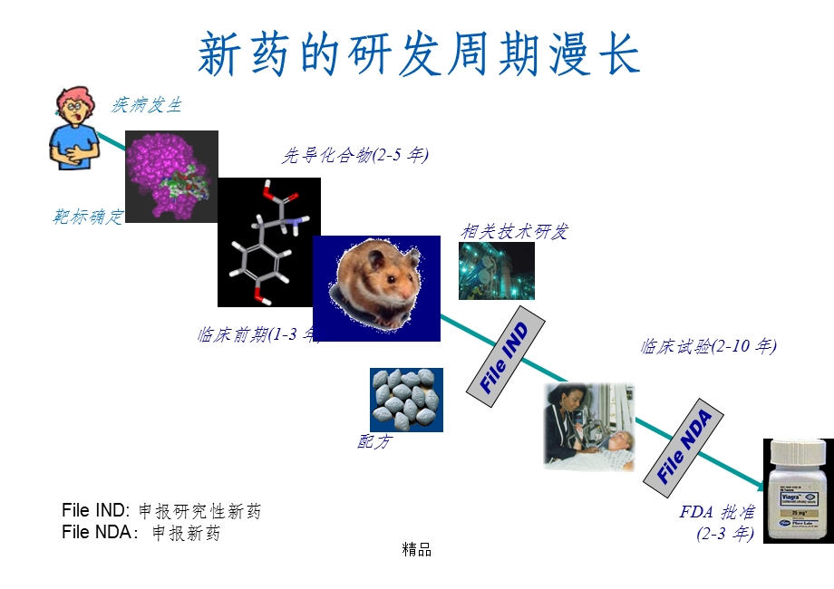 药物虚拟筛选方法课件.ppt_第2页