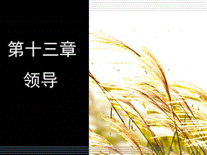 领导的性质和作用课件.ppt