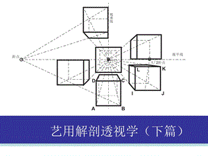 艺用解剖透视学(下篇)课件.ppt