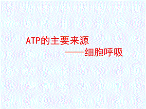 ATP的主要来源细胞呼吸课件.ppt
