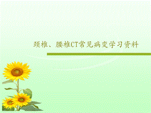 颈椎腰椎CT常见病变学习资料课件.ppt