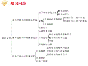 胚胎工程课件.ppt