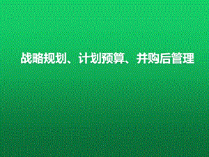 XX公司战略管理咨询报告(案例)课件.ppt