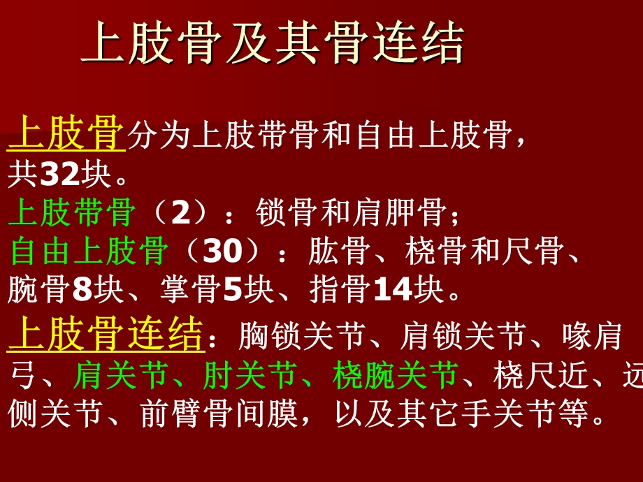 D上肢骨及其骨连结课件.ppt_第3页