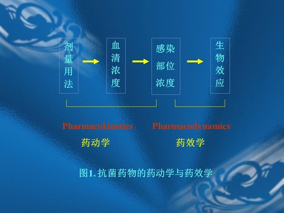 PK PD在抗菌药物临床治疗中的应用课件.ppt_第3页