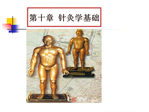 针灸学(第七版)课件.ppt