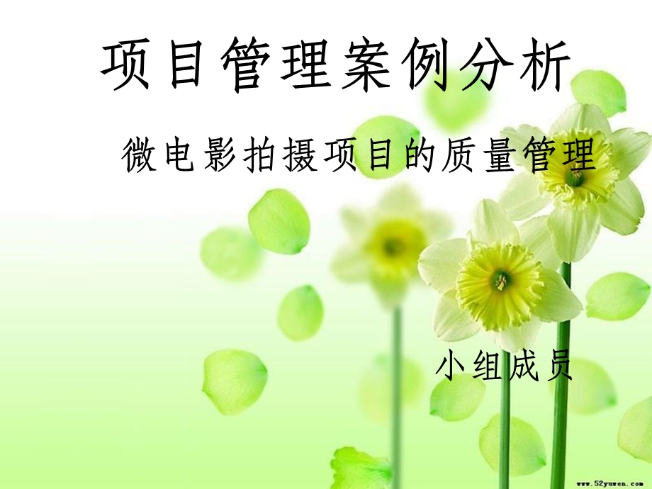 项目管理案例分析课件.ppt_第1页