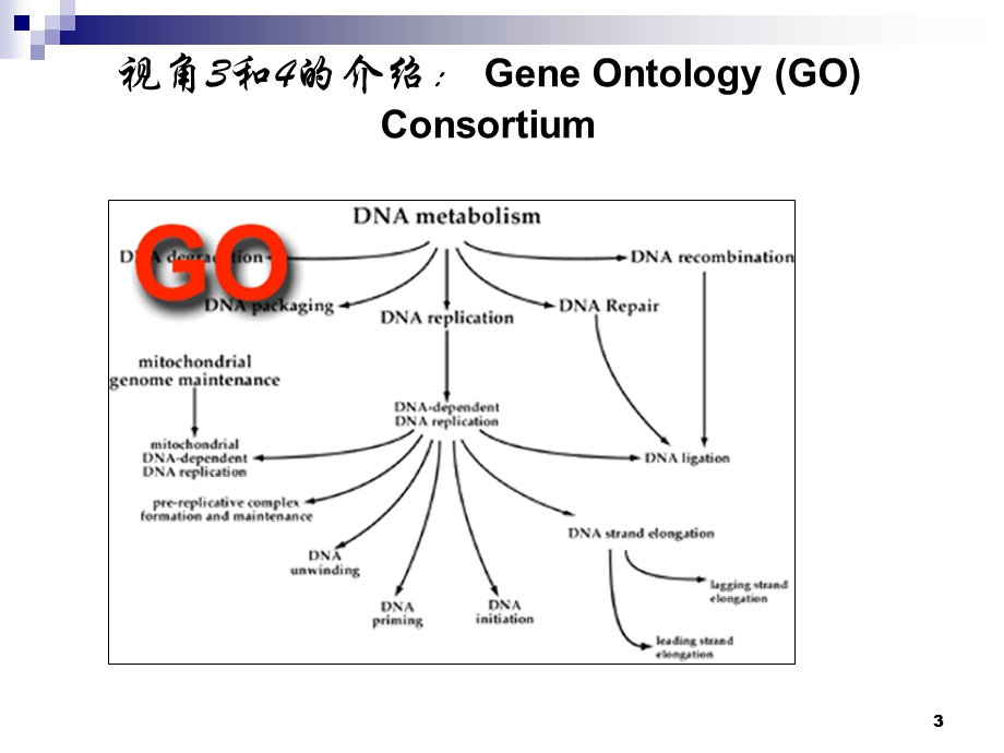 蛋白质分析和蛋白质组学课件.ppt_第3页