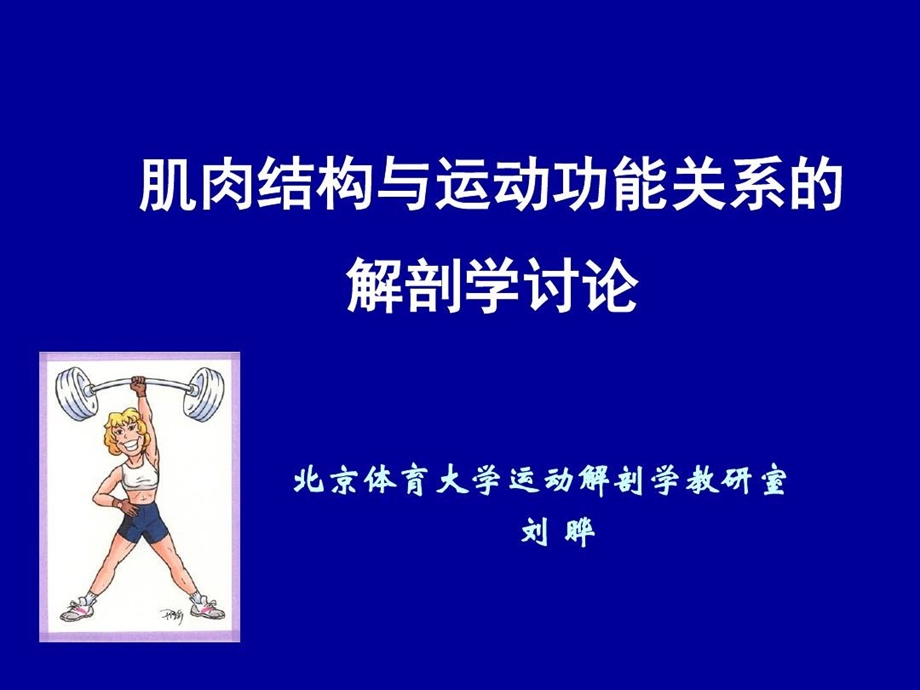 肌肉结构与运动功能关系的解剖学讨论课件.ppt_第1页