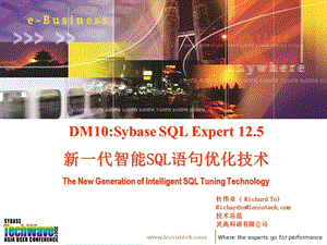 avh新一代智能SQL语句优化技术课件.ppt