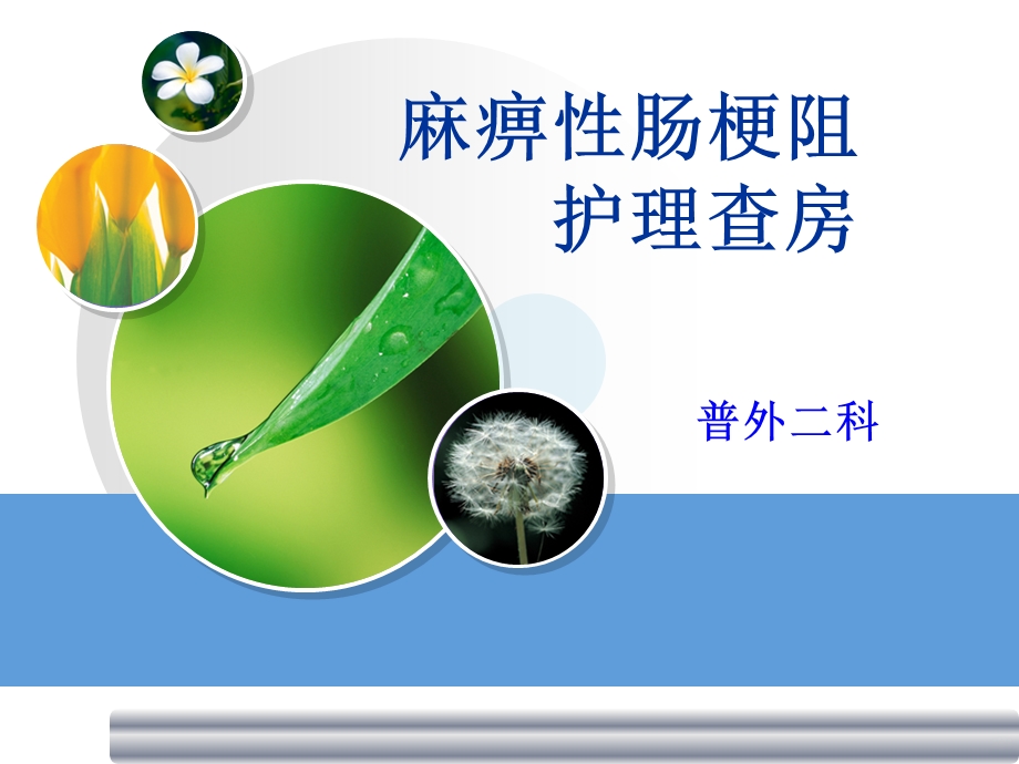 麻痹性肠梗阻查房课件.ppt_第1页