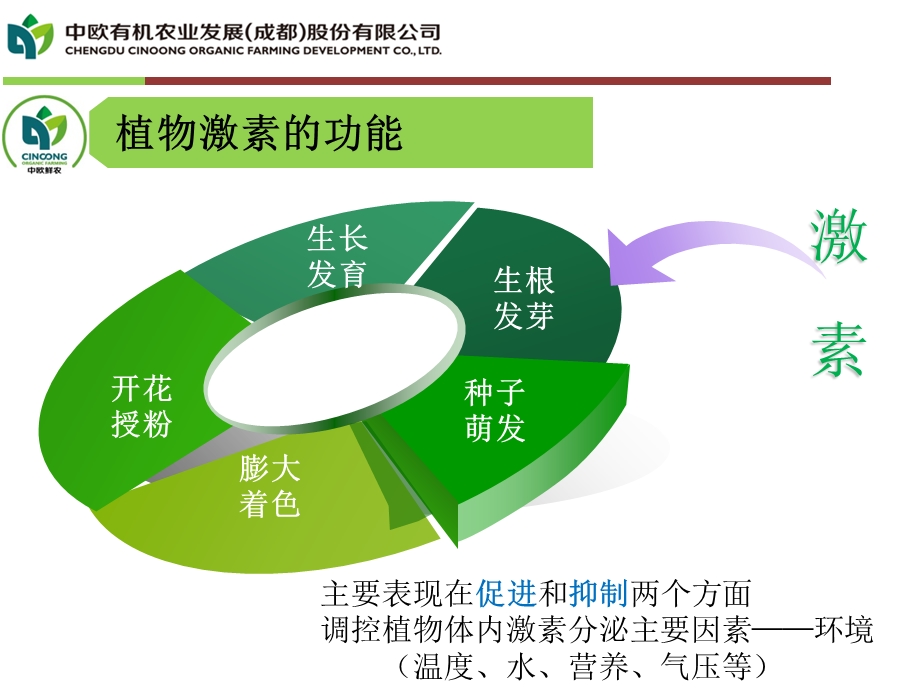 芸苔素内酯课件.ppt_第3页