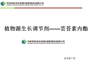 芸苔素内酯课件.ppt